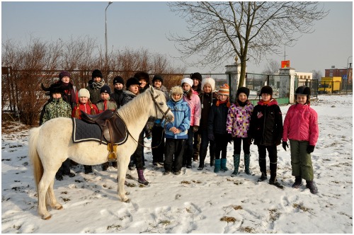 Ferie z koniem